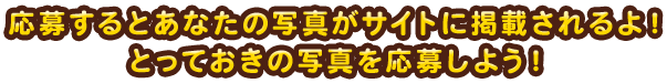応募するとあなたの写真がサイトに掲載されるよ! とっておきの写真を応募しよう!